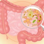Poids, obésité et alimentation microbiotique